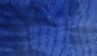 Royal Blue Burst